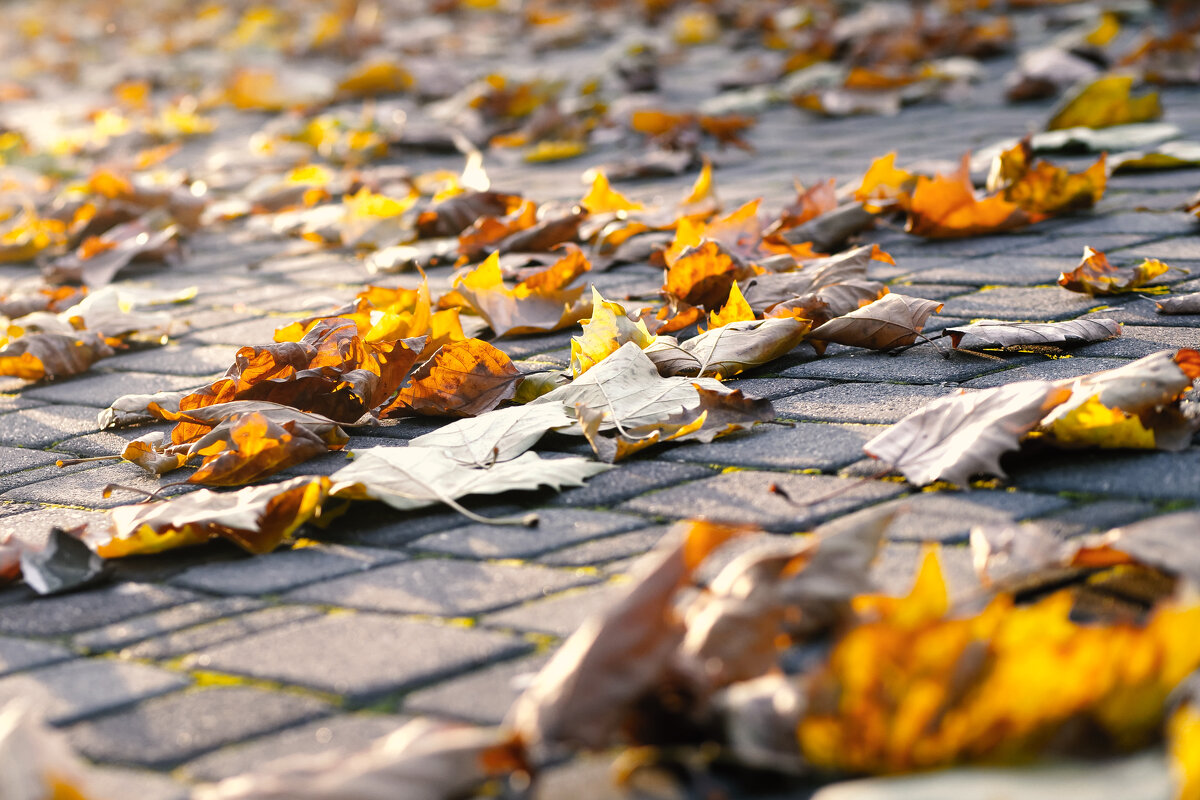 ..... - Котовский 