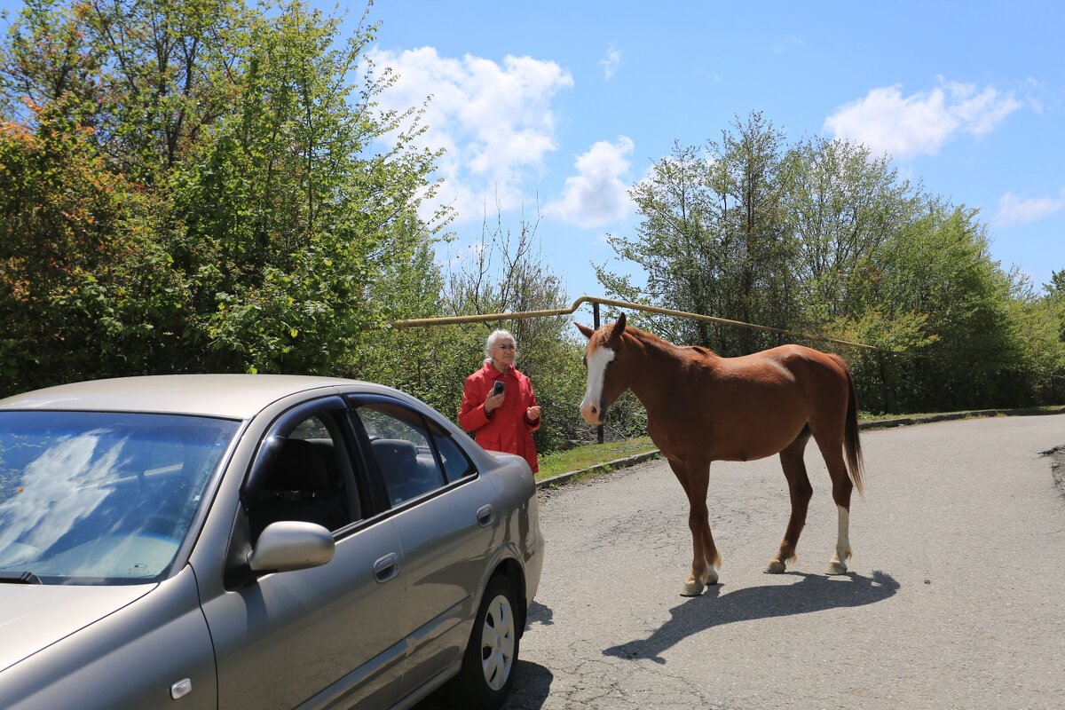 Разговор на дороге - Валерий 