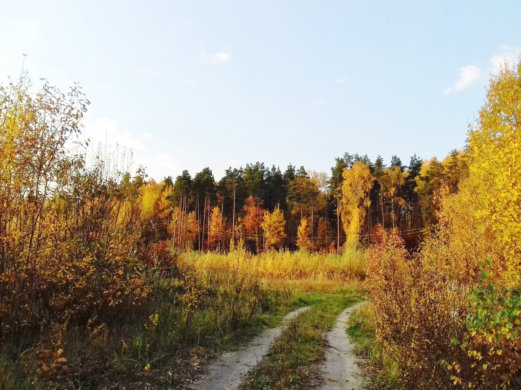 пейзаж - Владимир 