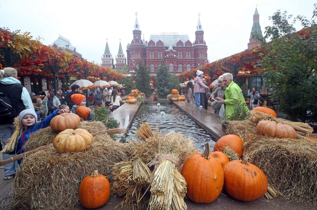 Фестиваль еды и урожая 7 октября - Михаил Бибичков
