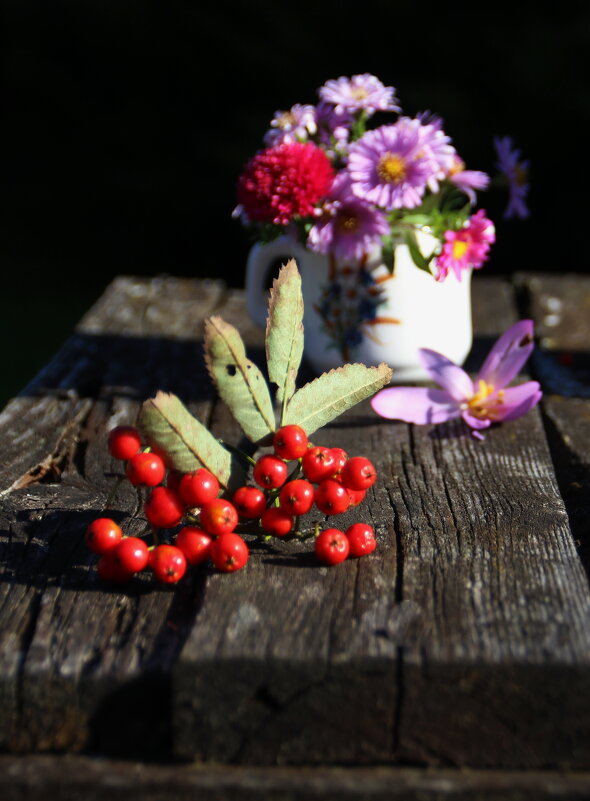Октябрьское настроение .. - Татьян@ Ивановна