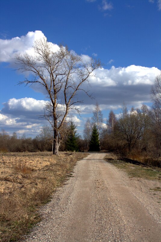 Колотушино - Артем 