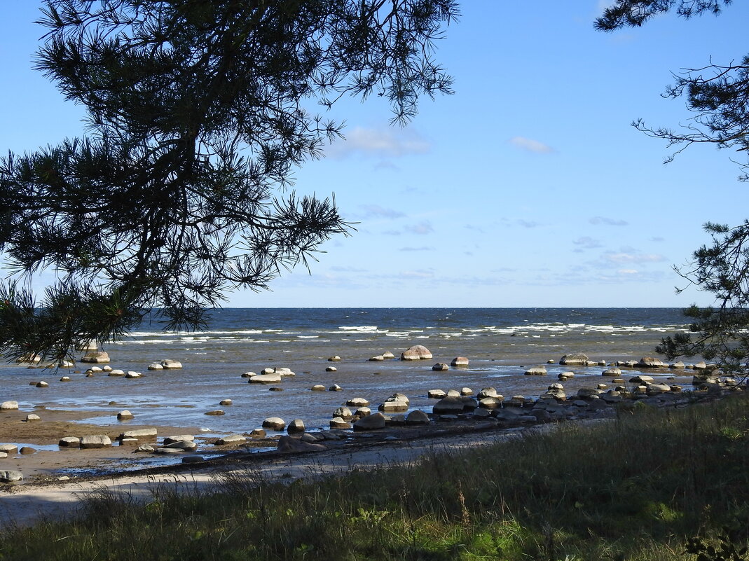 ****** - ИННА ПОРОХОВА