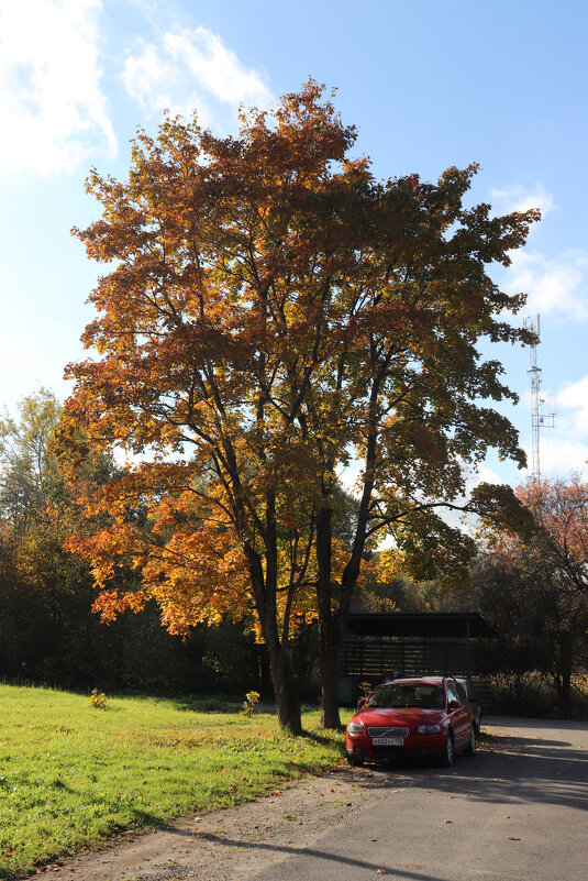Парковочное место - Наталья Лунева Парковочное место - Наталья Лунева