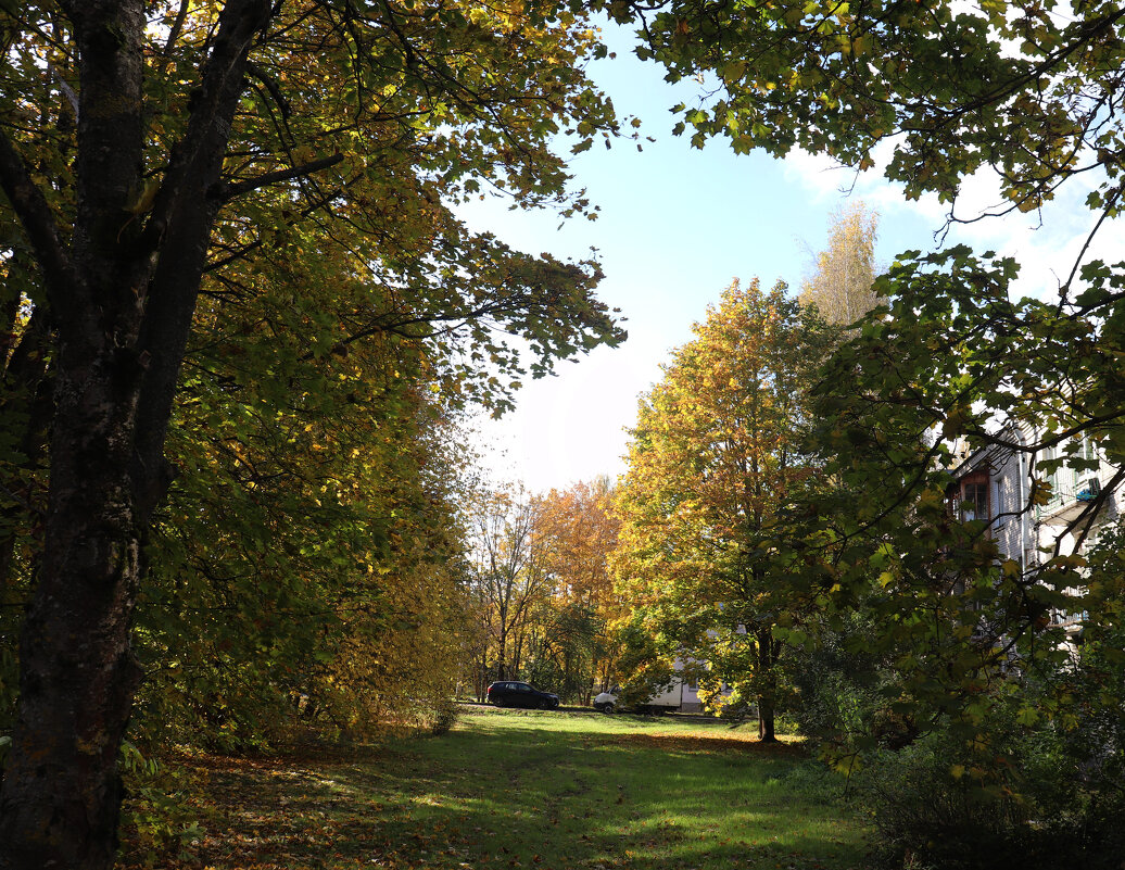У моего дома - Наталья Лунева 