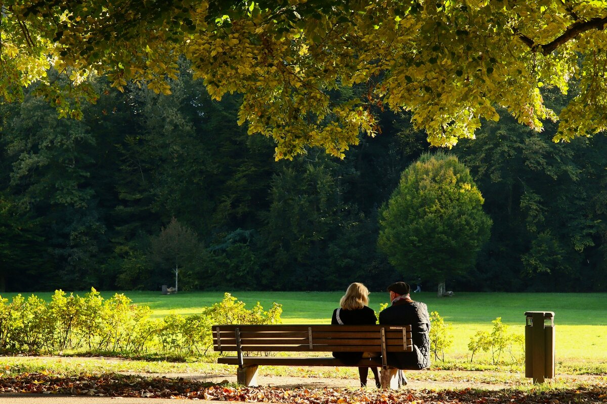 Свидание - Юрий. Шмаков