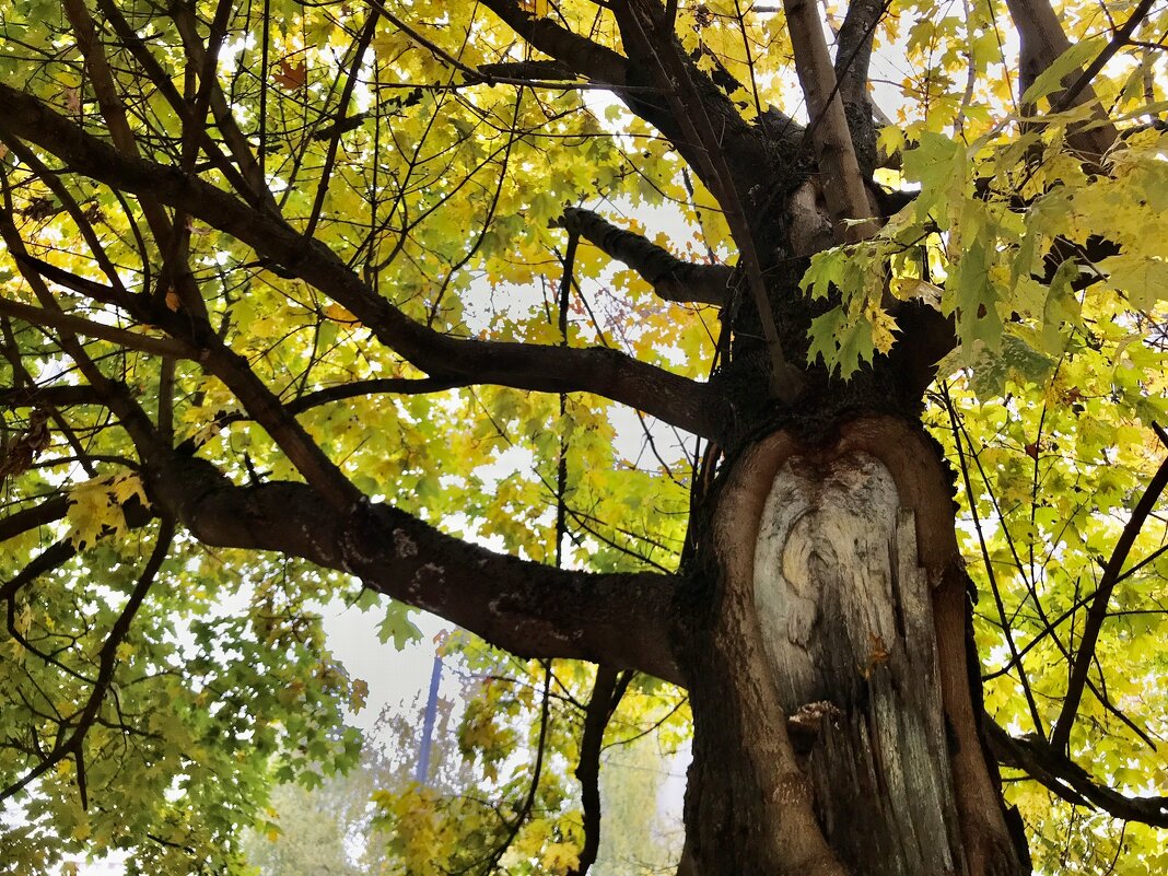 С душой на распашку!) - Любовь 