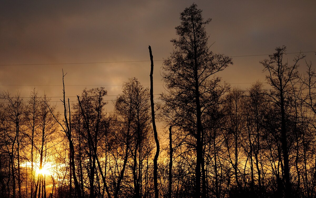 Закат - Иван Генералов