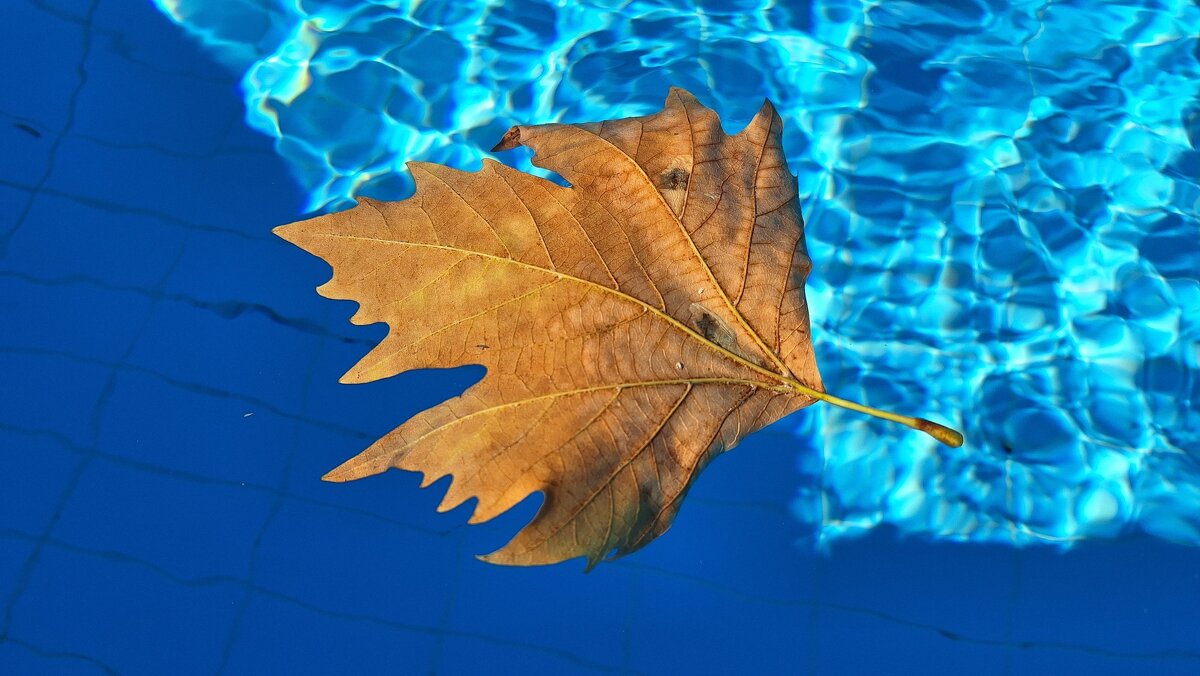 Осеннее утро... - Леонид Школьный