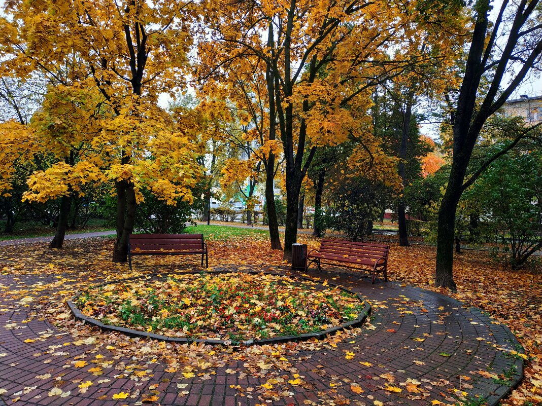 Осень в городе - Андрей Лукьянов