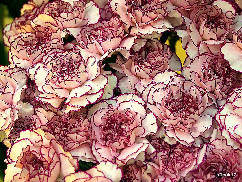 они на радость нам даны - Олег Лукьянов