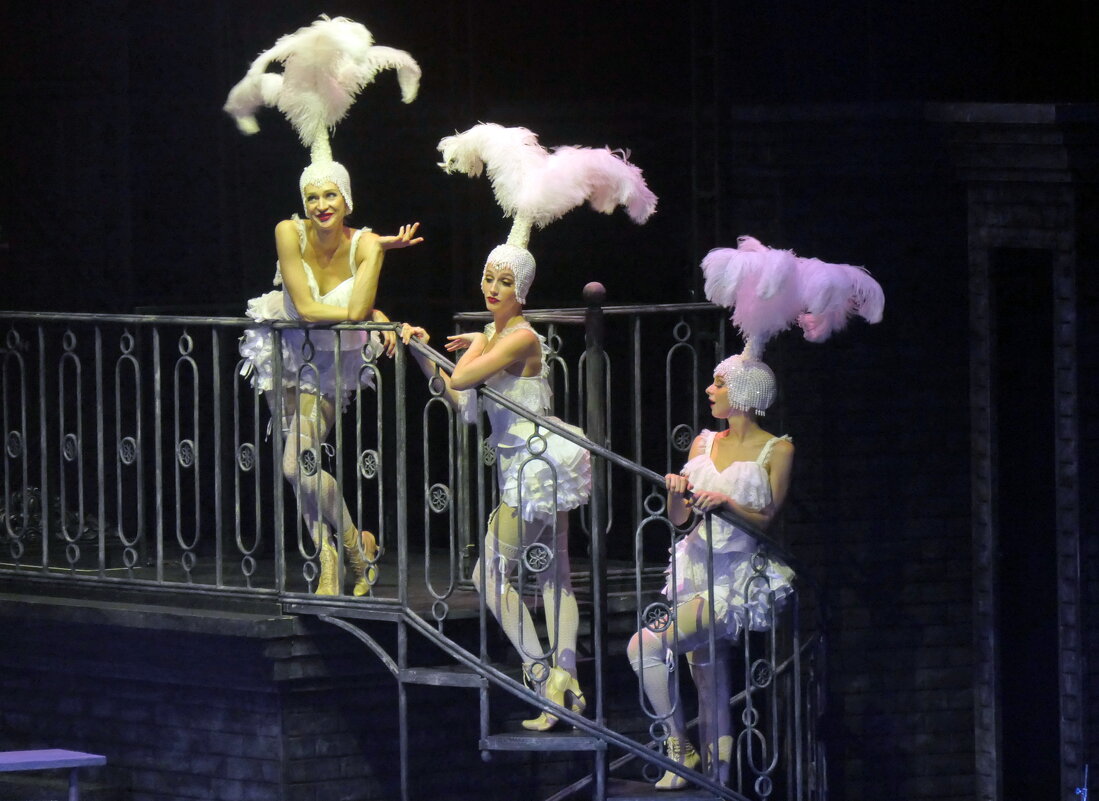 Оперетта "Фиалка Монмартра" - Валерий Судачок