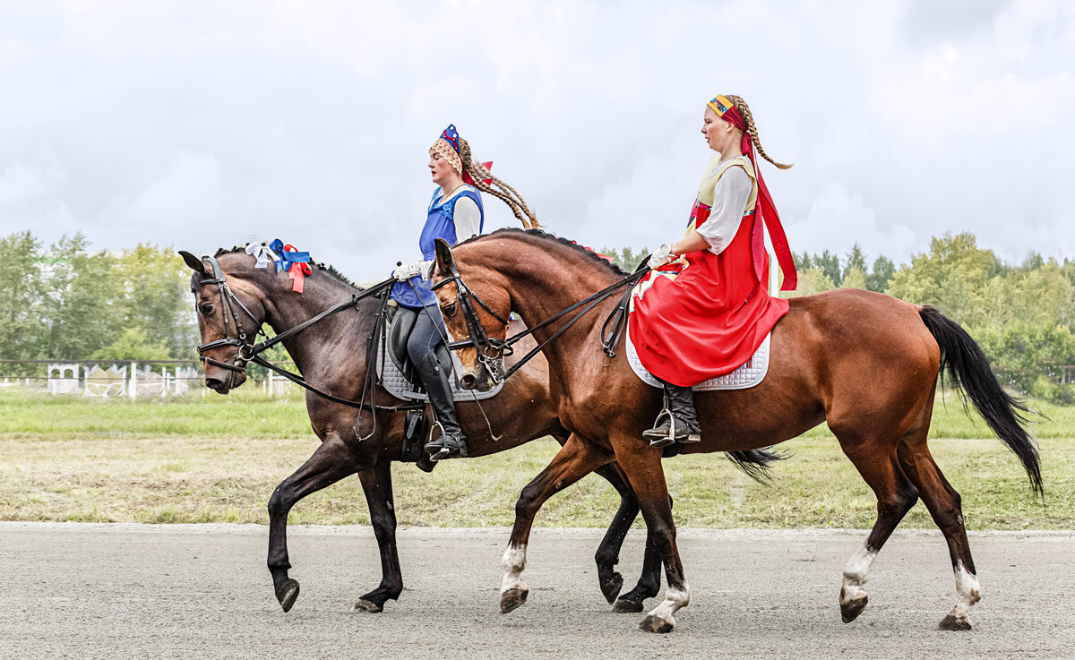 Выездка - SanSan 