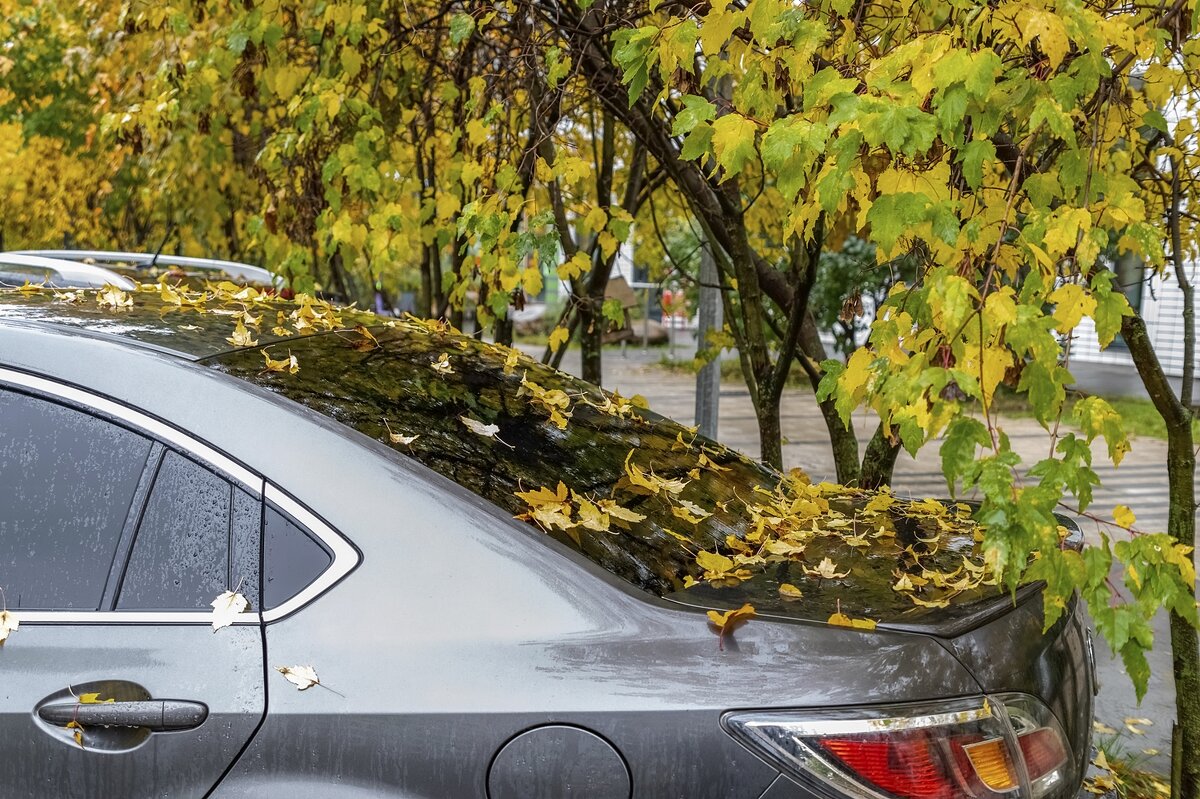 Осень в городе - Валерий Иванович
