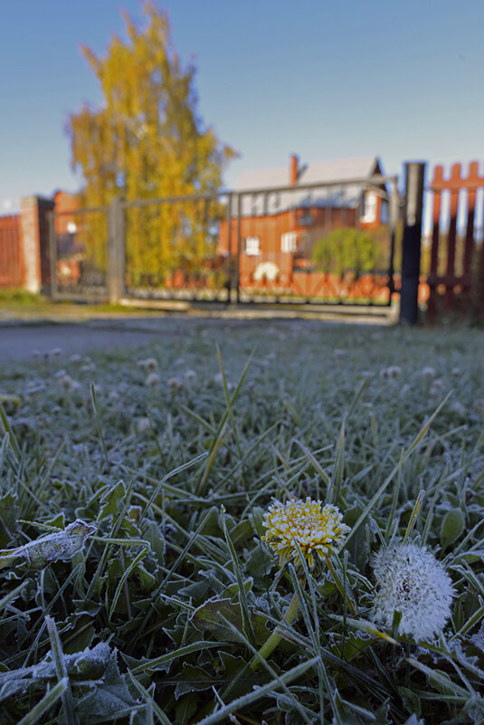 Лёд и пламя. Утро золотой осени... - Владимир Хиль
