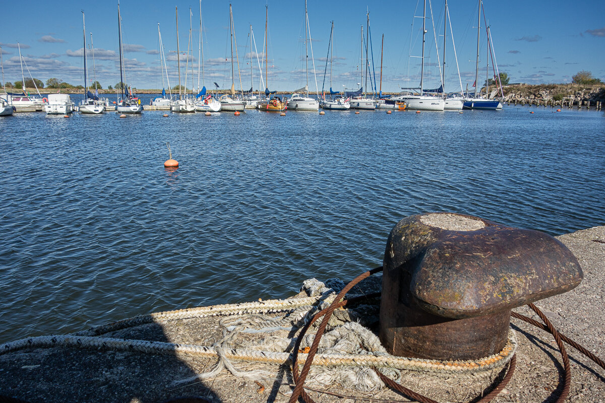 *** - Геннадий Порохов