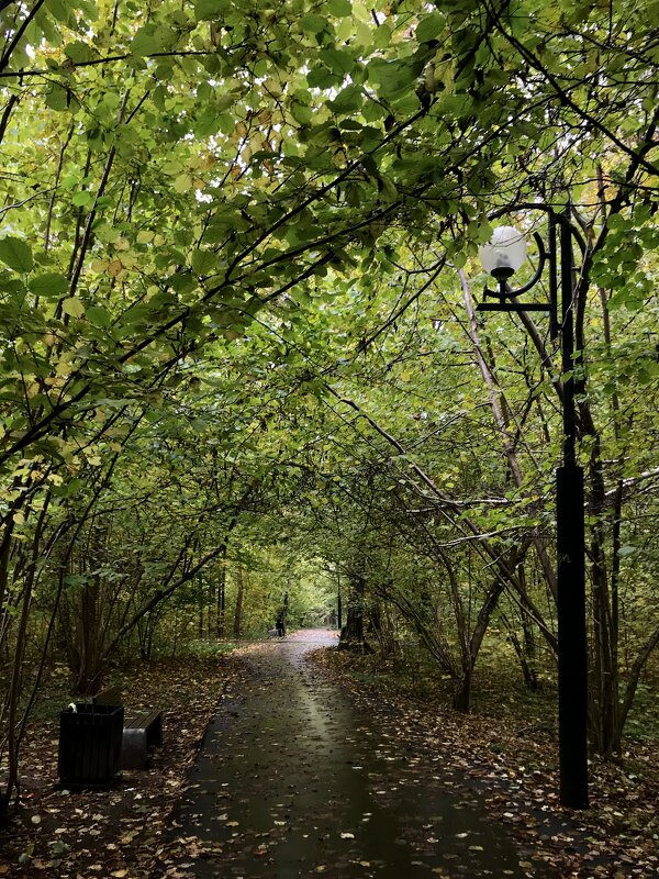 Любимыми дорожками… - Любовь 