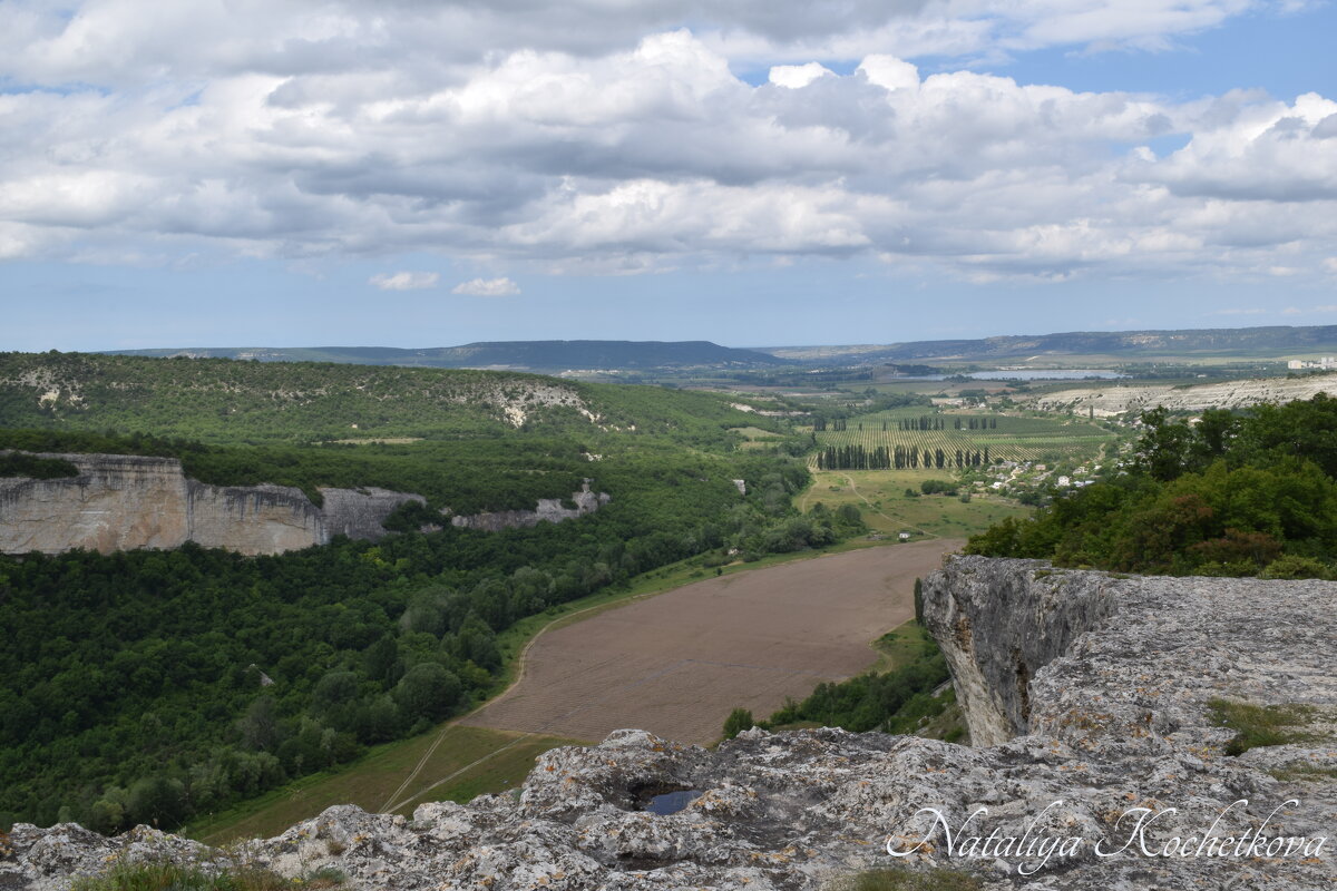 Природа Крыма - Amazing Cosmea