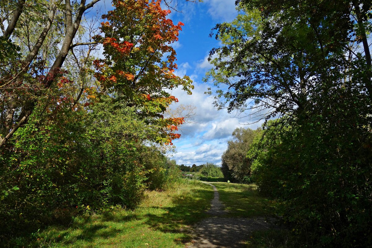 А мне нравится осень. Ее смелые краски.... - Галина А мне нравится осень. Ее смелые краски.... - Галина