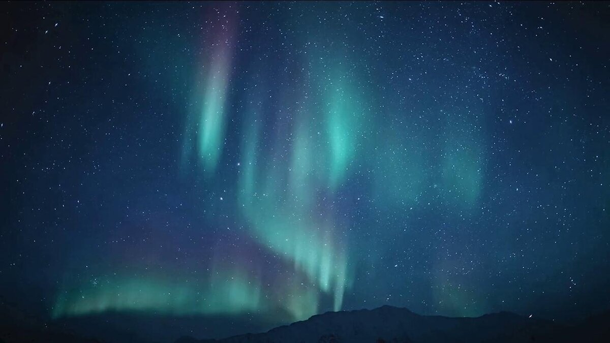 «Посмотри, не опоздай, диво дивное поймай!» - Михаил Андреев