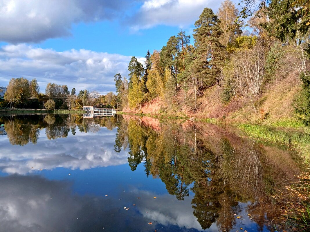 Берега реки Оредеж. - Лия ☼
