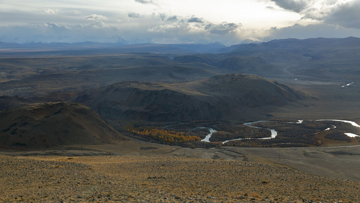 *** - владимир 