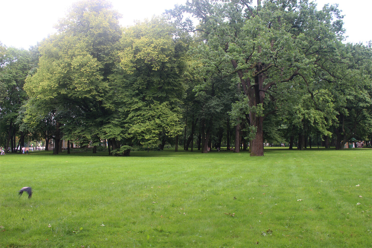 Михайловский сад в Санкт-Петербурге. - Любовь ***
