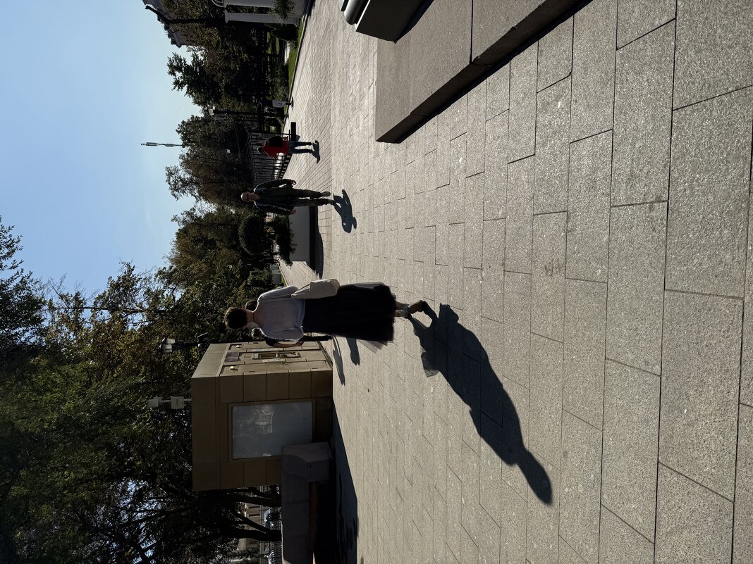 Убегающие тени - Александр Володарский