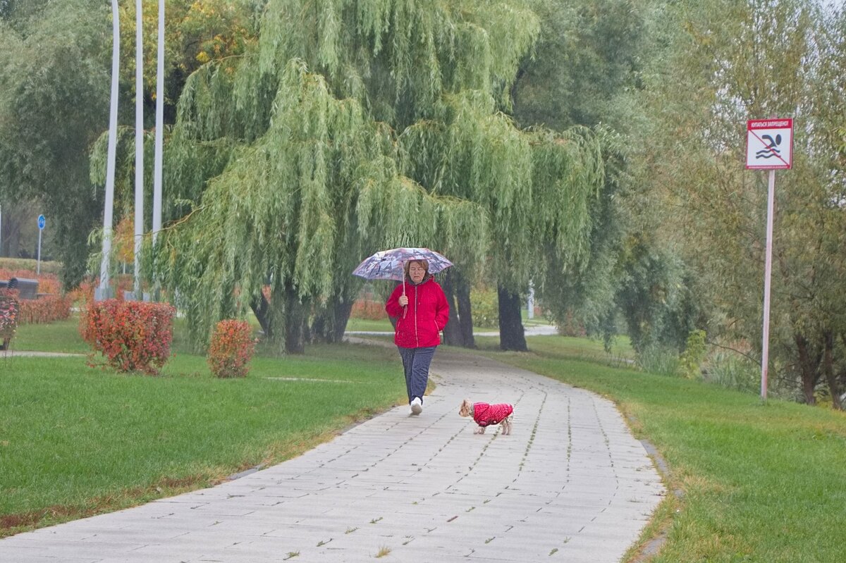 Прогулка - Тамара Вебер