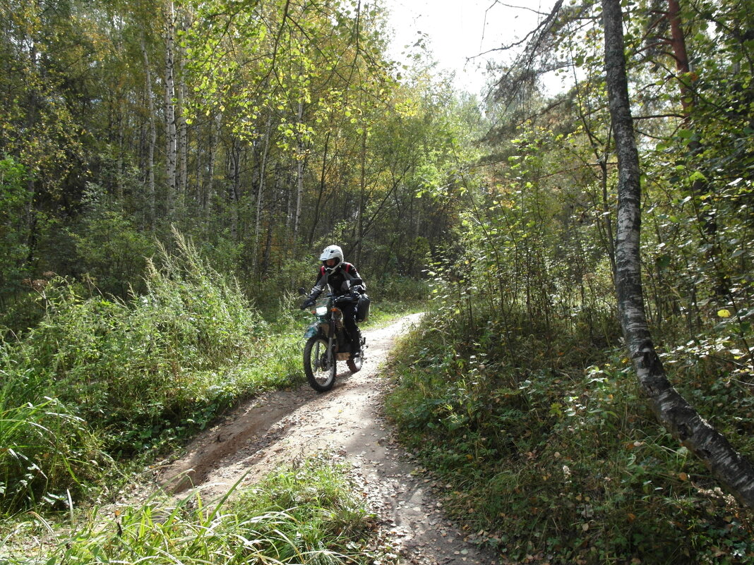 спорт - Владимир 