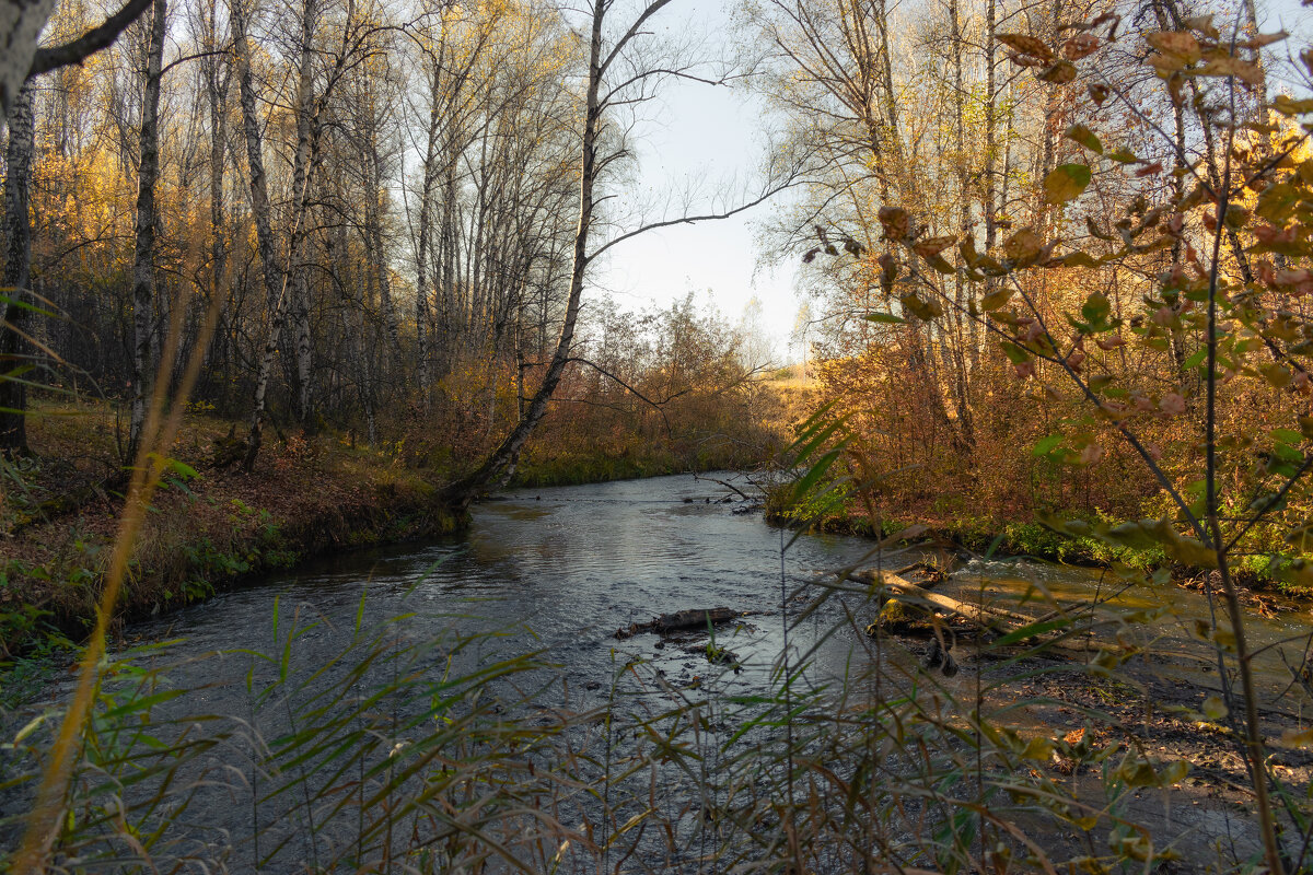 ТИХАЯ ОСЕНЬ... - Володька Завитушкин ТИХАЯ ОСЕНЬ... - Володька Завитушкин