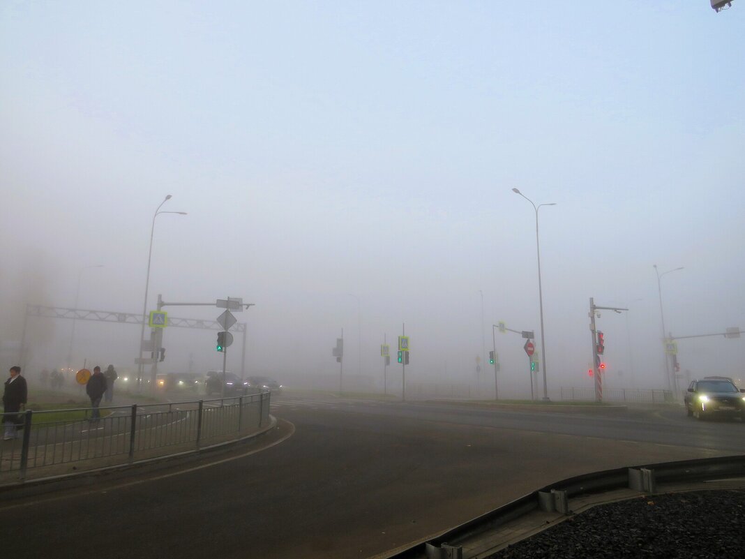 *** - Лариса С.