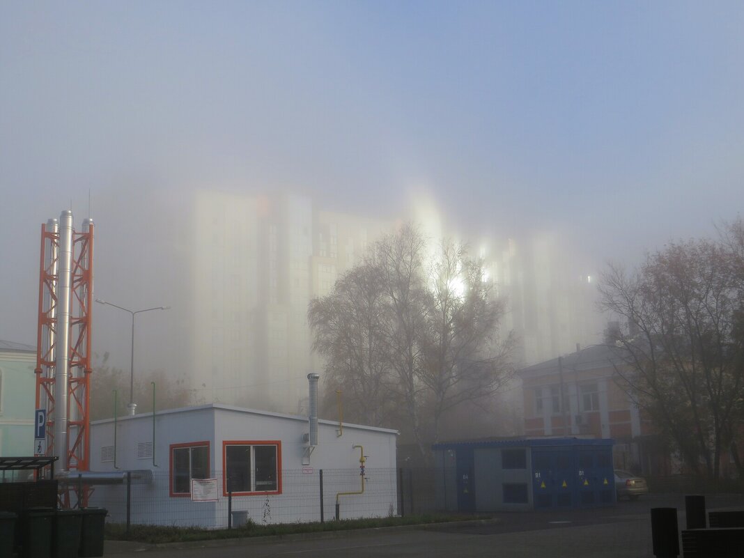 *** - Лариса С.