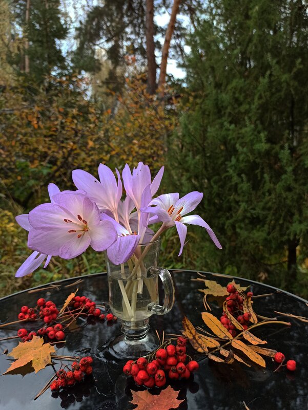 Пришло времечко и для безвременников! - veilins veilins