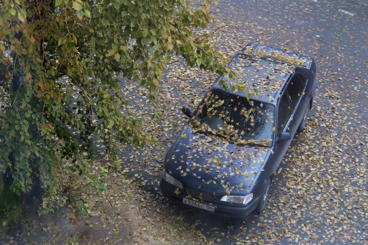 Припарковался... - Нина Сироткина 