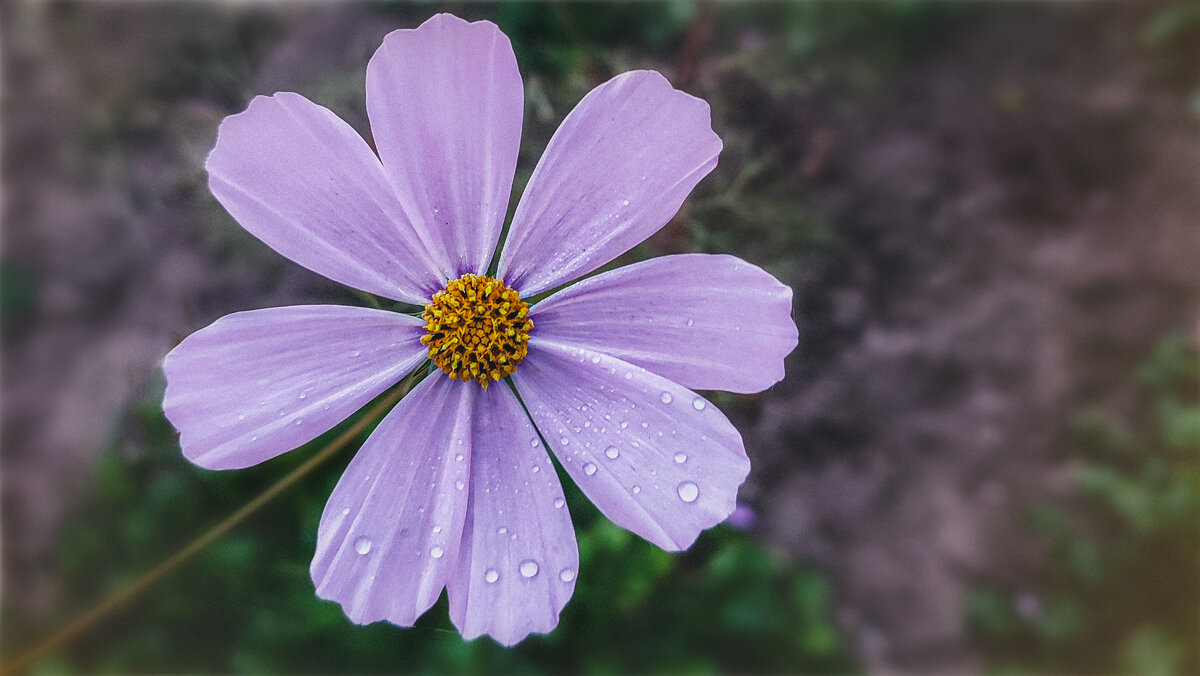 Отмороженный..) - AZ east3