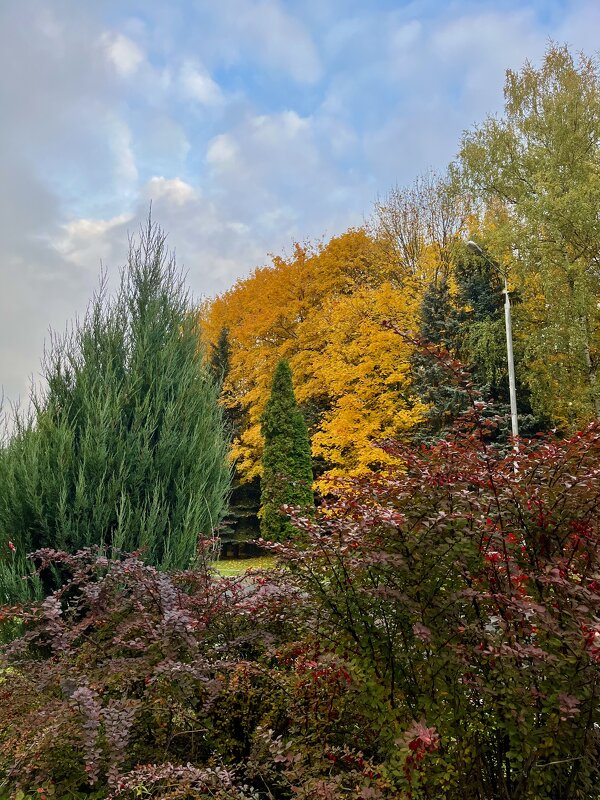 Краски - Александр Конов Краски - Александр Конов
