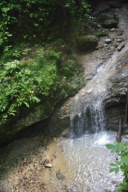 *** - Марина Виноградова