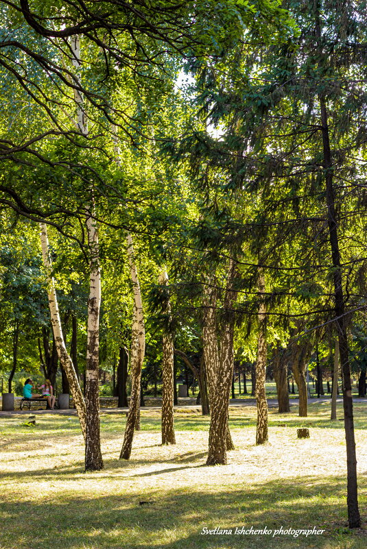 В парке - Светлана Ищенко