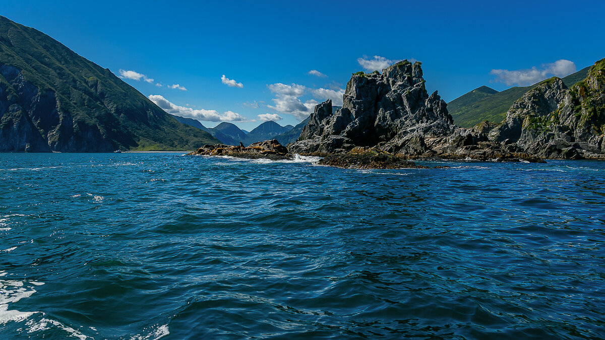 ... - Жора Житников ... - Жора Житников