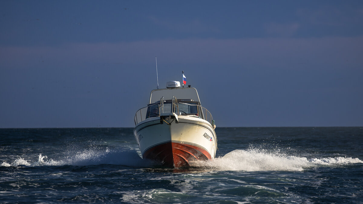 ... - Жора Житников