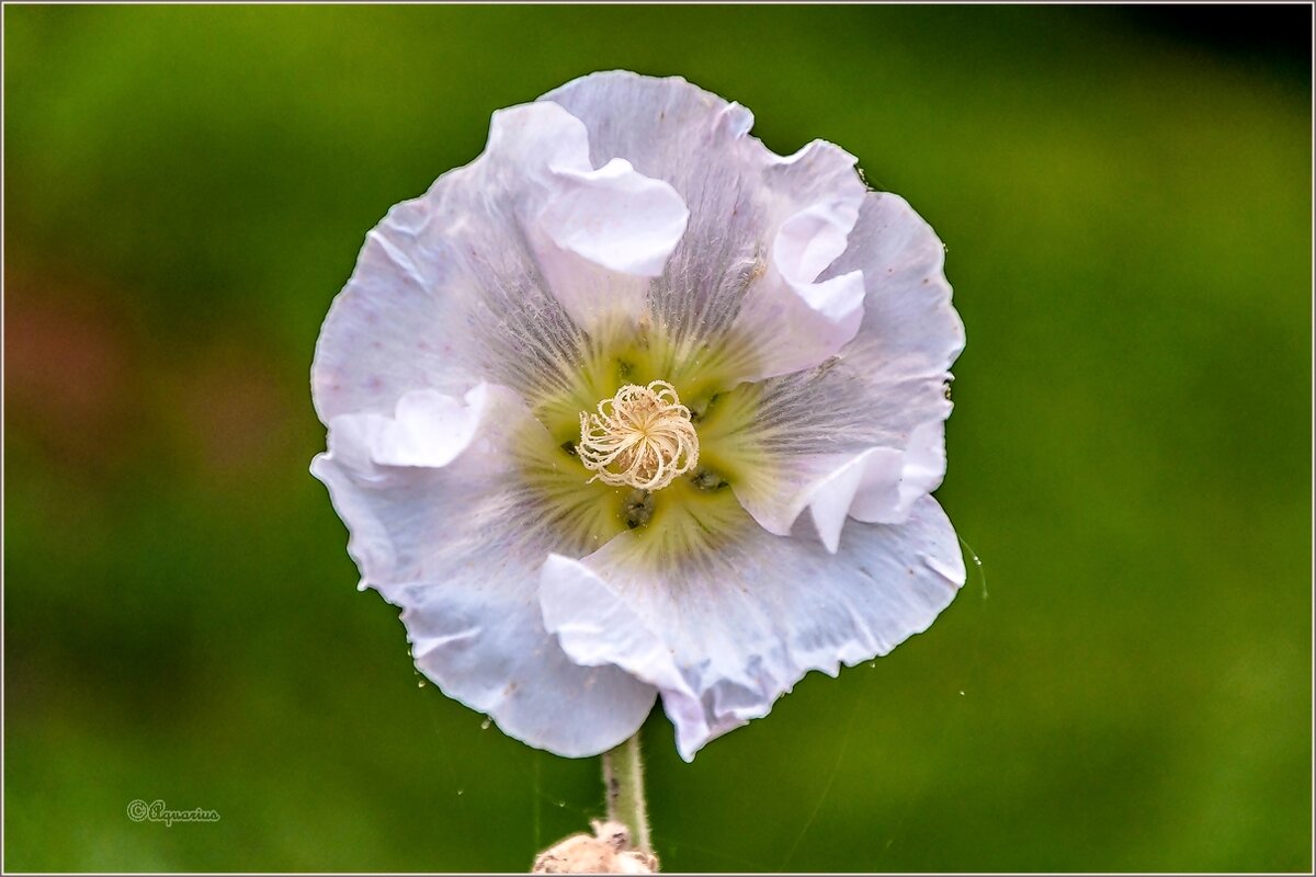 Про сентябрь... - Aquarius - Сергей Про сентябрь... - Aquarius - Сергей