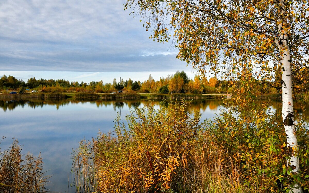 Золотая осень Смоленщины. - Милешкин Владимир Алексеевич 