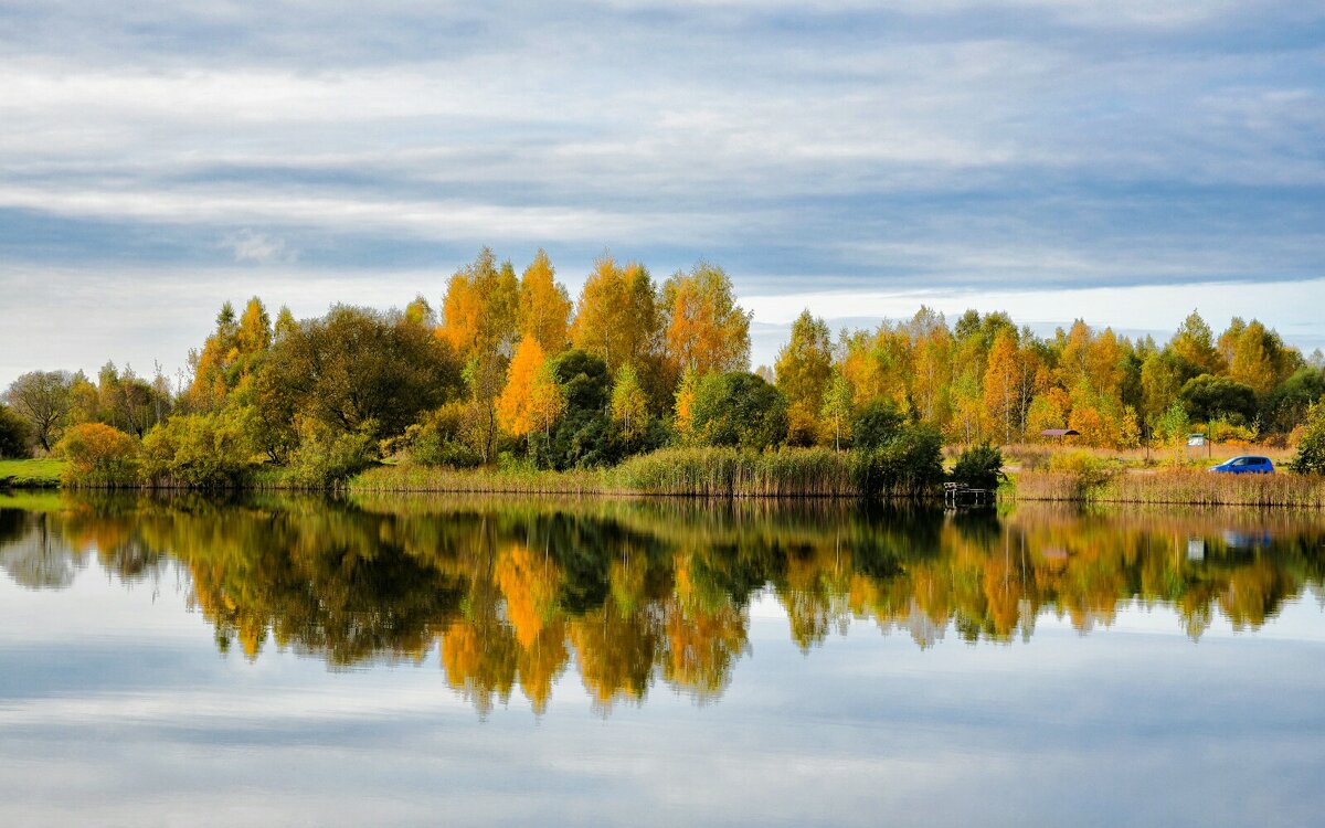 Золотая осень Смоленщины. - Милешкин Владимир Алексеевич 