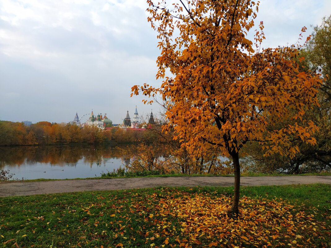 * * * - Андрей Лукьянов