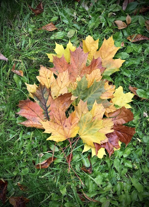 Букет от меня. - Любовь 