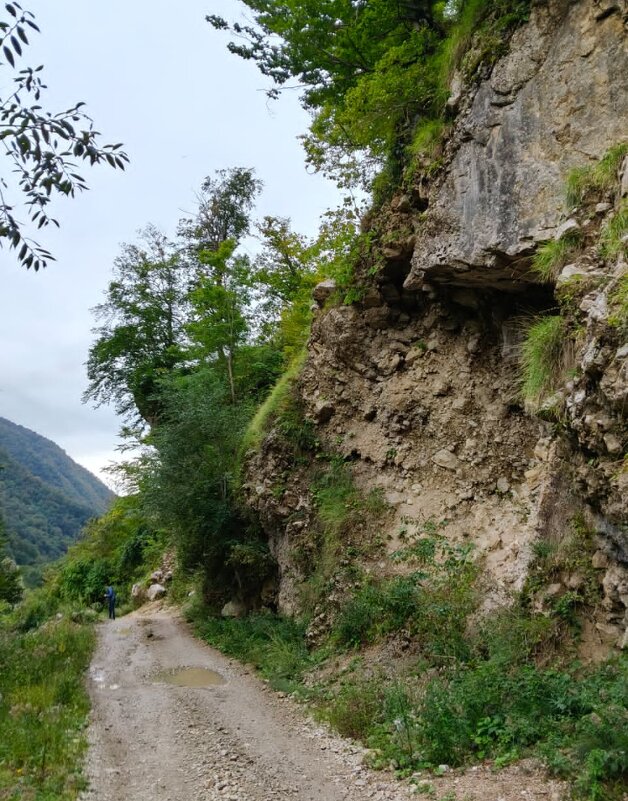 НА ГРАНИЦЕ С АБХАЗИЕЙ - Tata Wolf