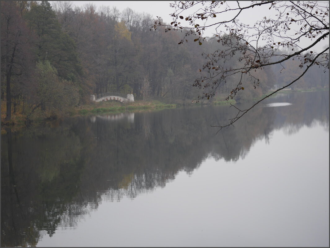 Осенний день. Туман - Наталья Rosenwasser