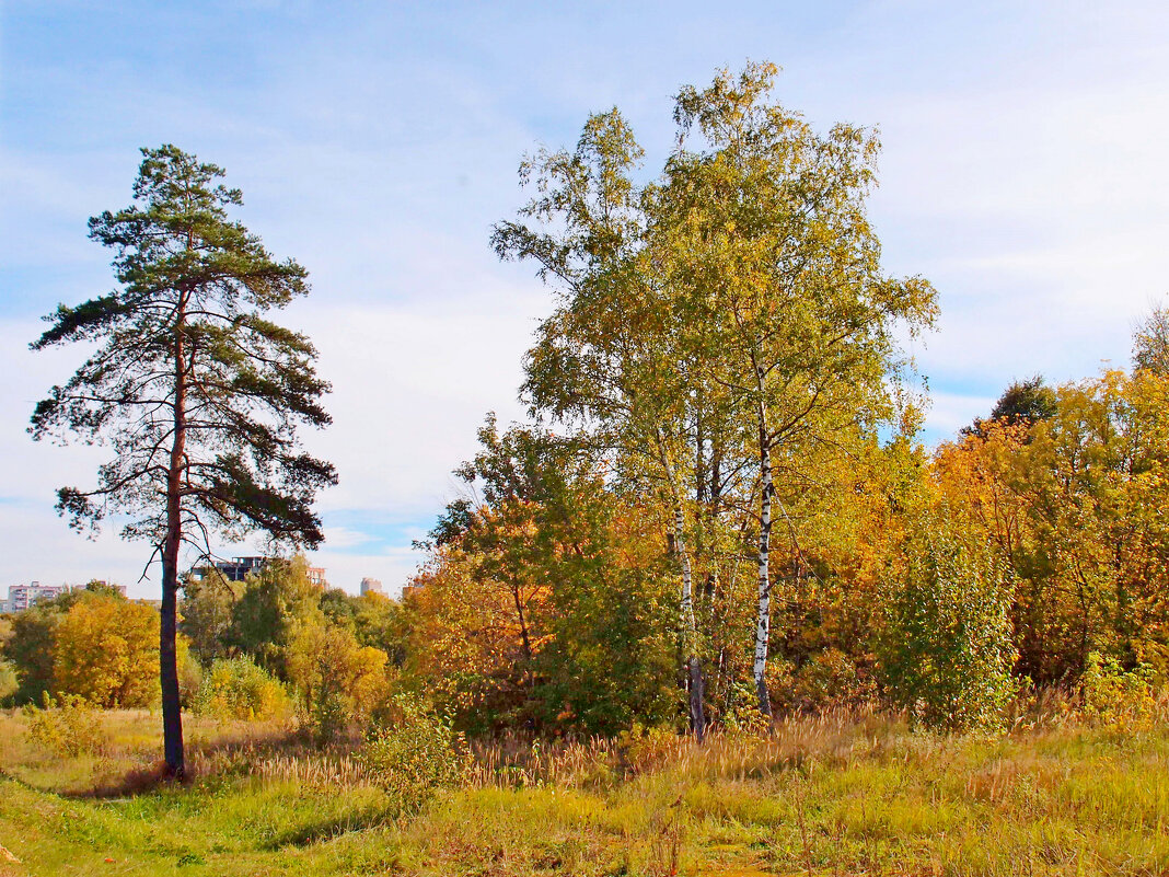 Краски осени - photo -oko