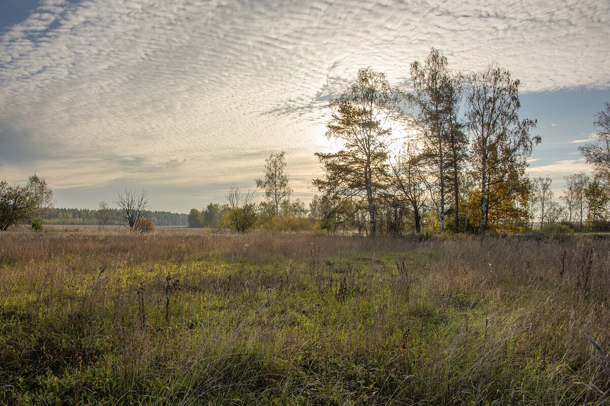 Осеннее утро - Валерий Иванович